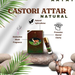 Aayat Kasturi